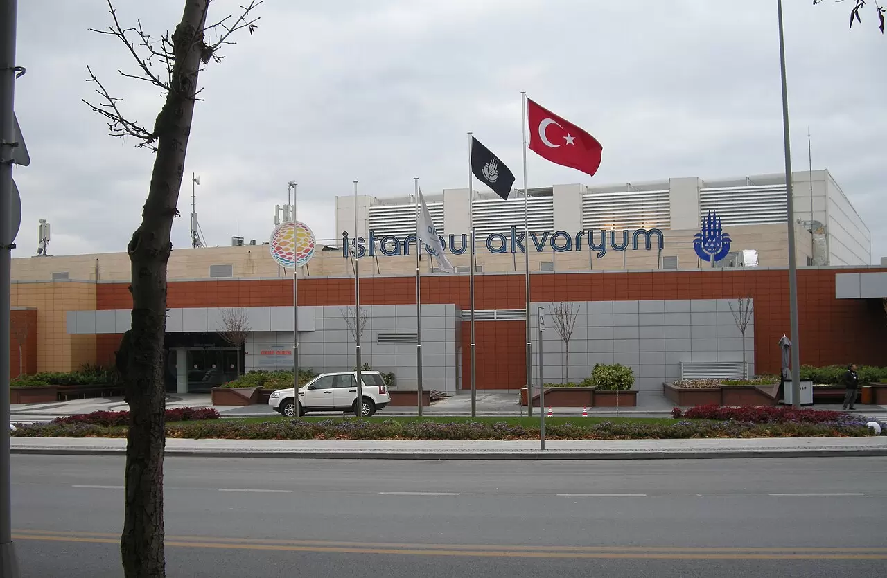 Florya Aquarium Morning Visit with Transfer